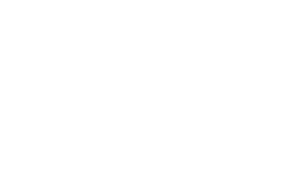 LEVITON.png